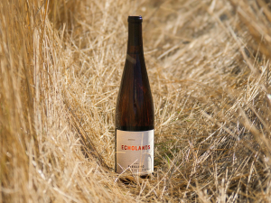 Riesling Winemaker Dinner with Brian